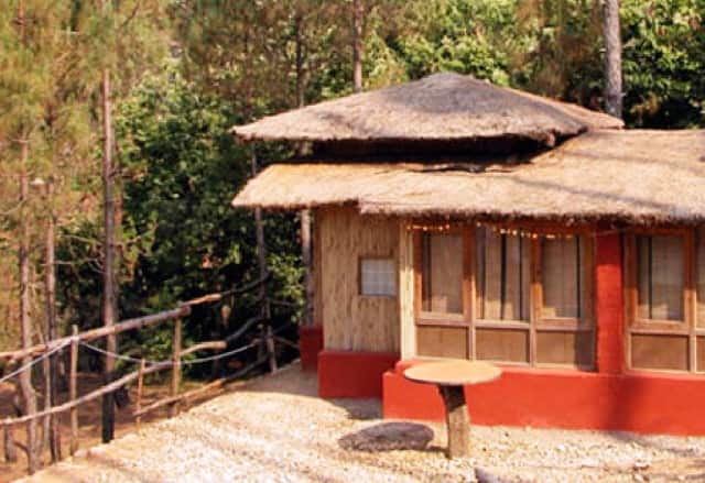 Chestnut Grove Himalayan Lodge, Chaukori 5